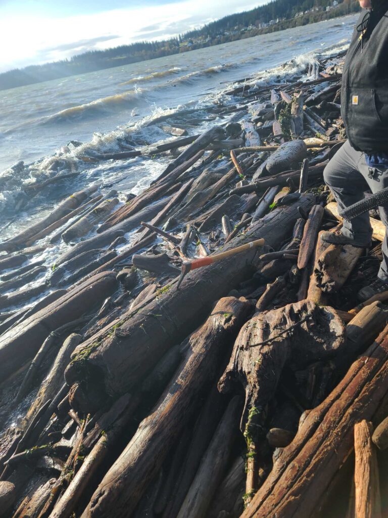 a person standing on a log in the water (MyCoast AI)