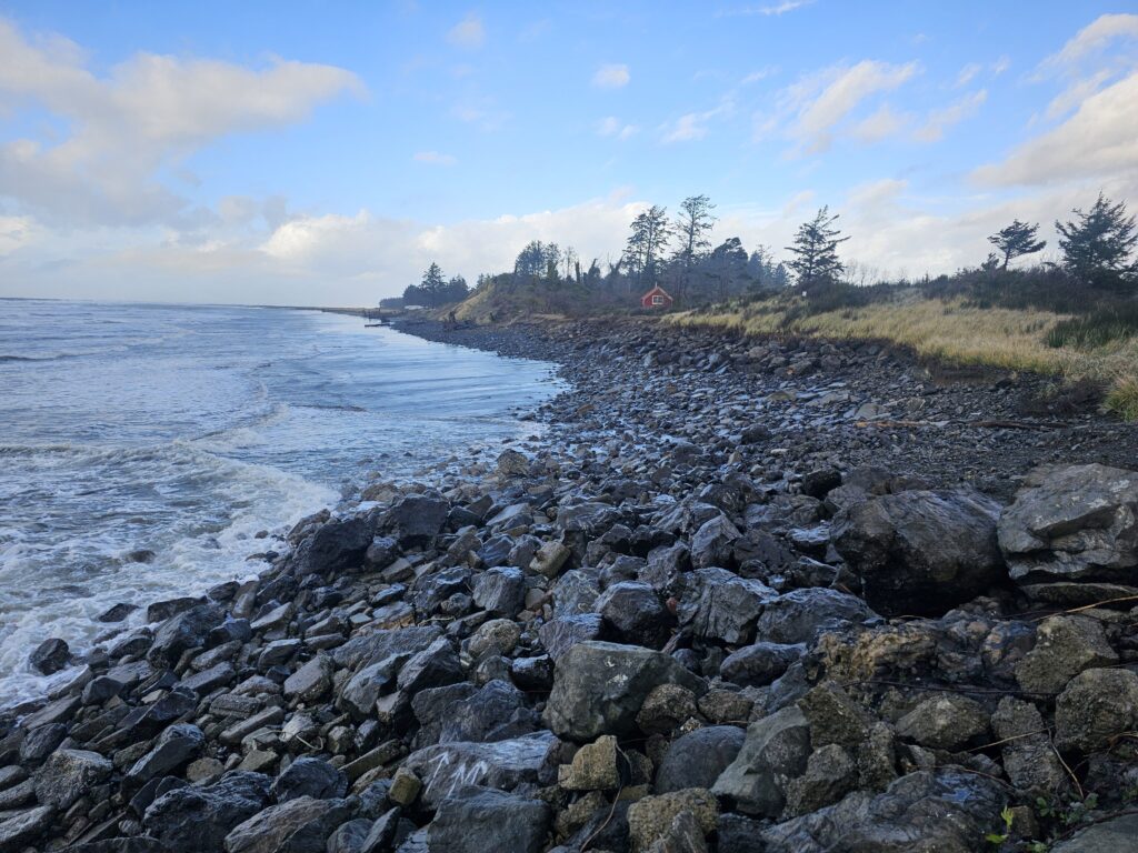 a rocky beach with trees and a body of water (MyCoast AI)