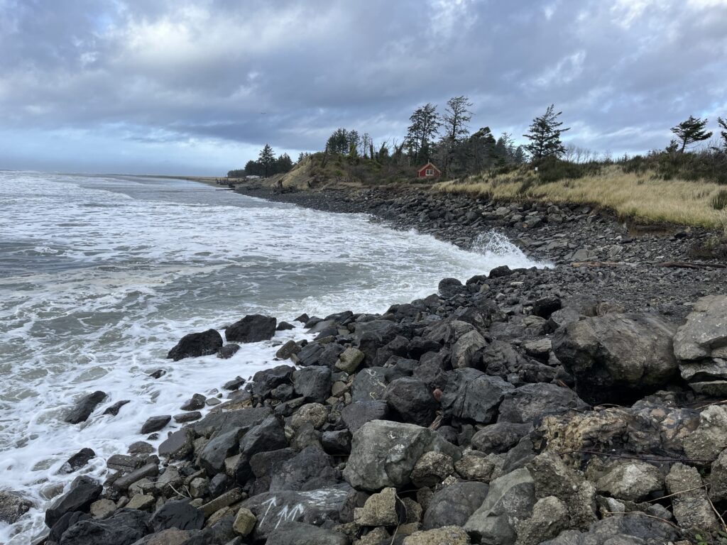 a rocky beach with trees and a cloudy sky (MyCoast AI)