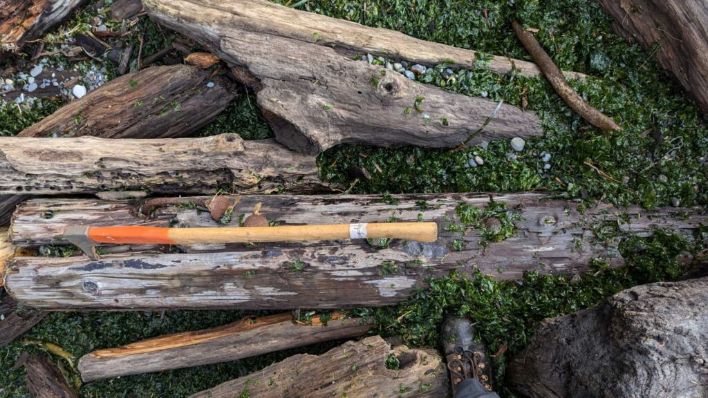 a wooden bench in a forest (MyCoast AI)
