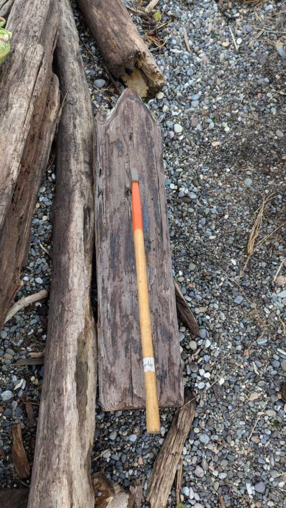 a wooden axe on a log (MyCoast AI)