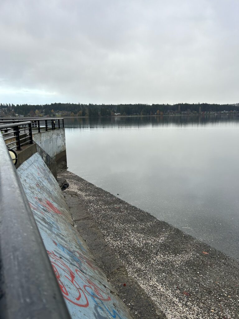 a body of water with a dock and a dock (MyCoast AI)