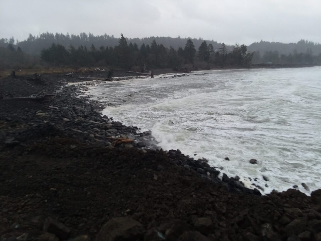 a rocky beach with trees in the background (MyCoast AI)