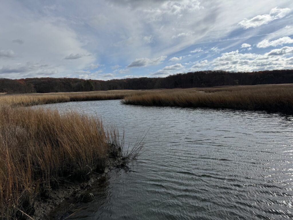 a body of water with grass and trees around it (MyCoast AI)