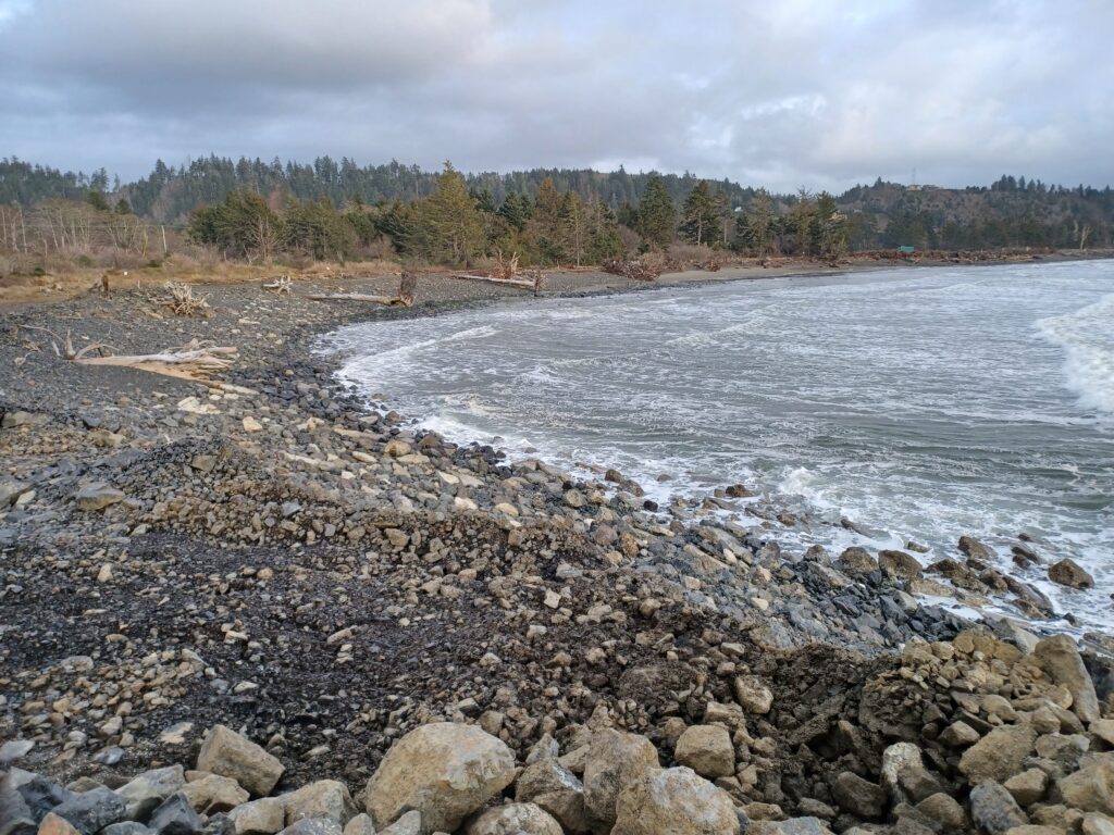 a rocky beach with trees in the background (MyCoast AI)
