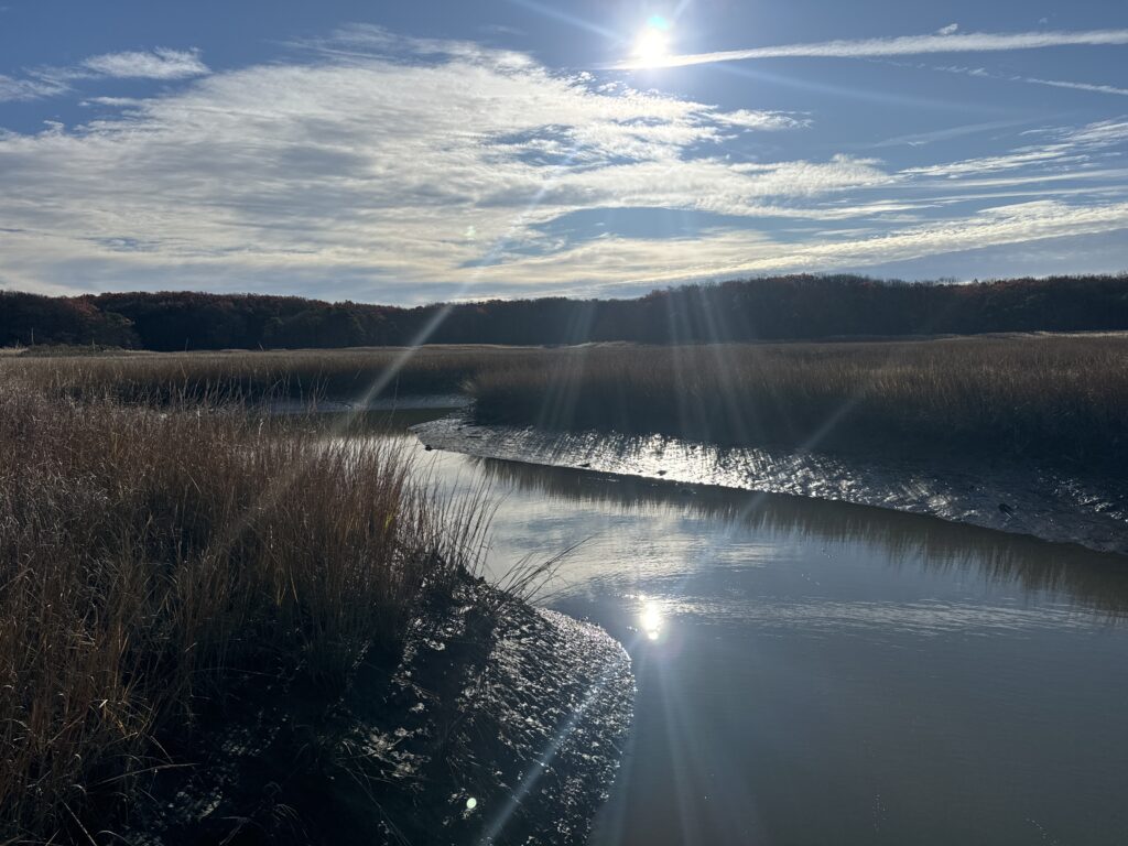 a body of water with grass and trees around it (MyCoast AI)