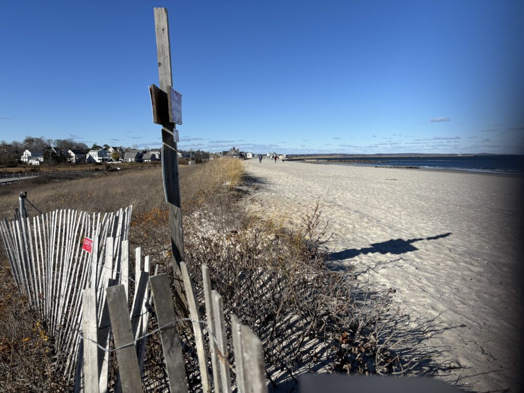 a beach with a fence and a beach (MyCoast AI)