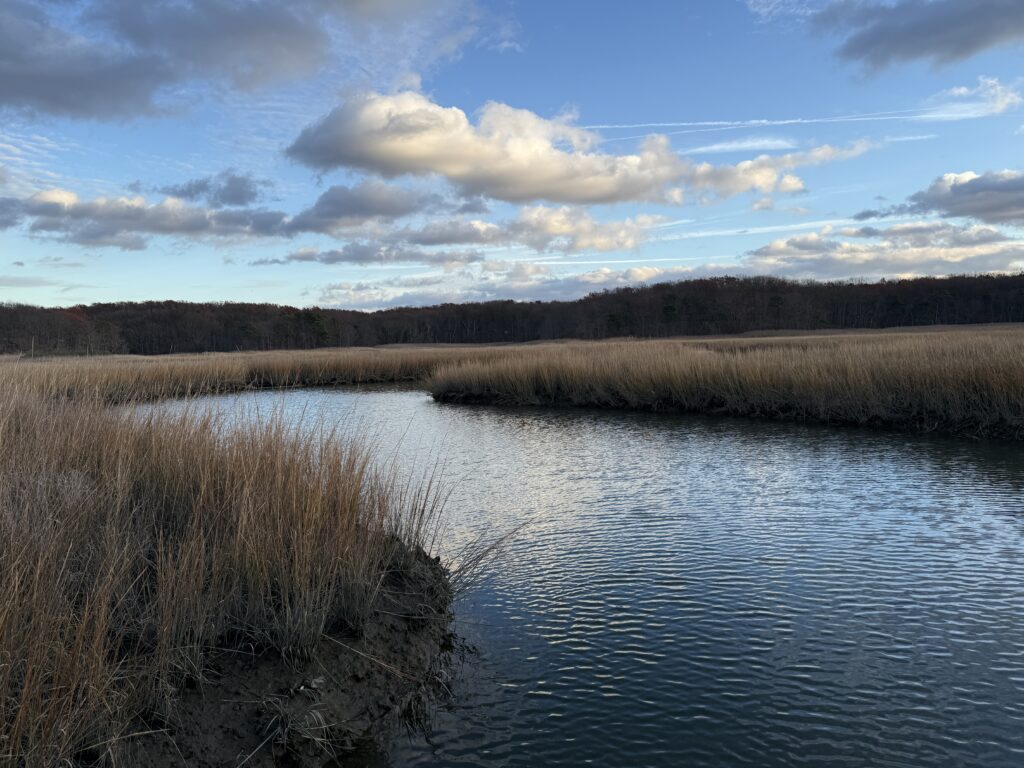 a body of water with grass and trees around it (MyCoast AI)