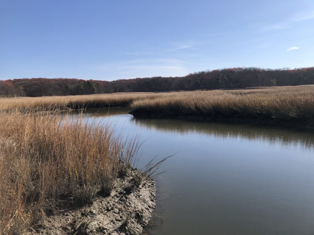 a body of water with grass and trees around it (MyCoast AI)
