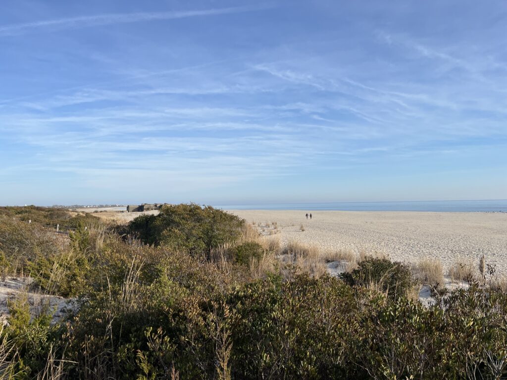 a sandy beach with bushes and trees (MyCoast AI)
