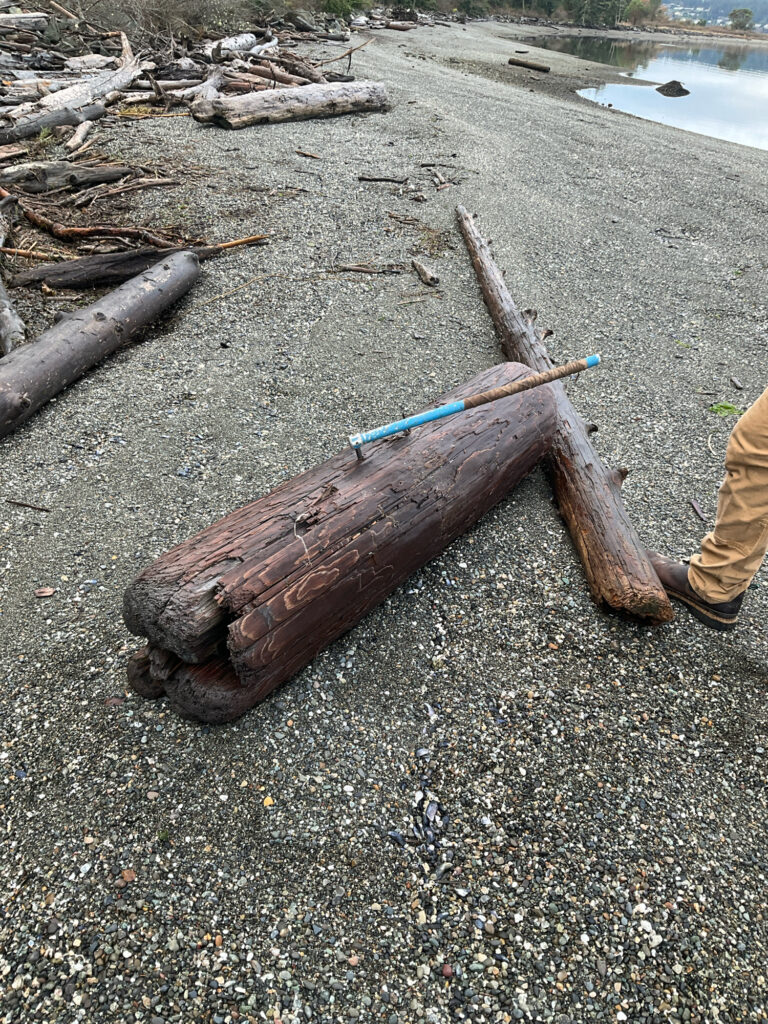 a person holding a gun (MyCoast AI)