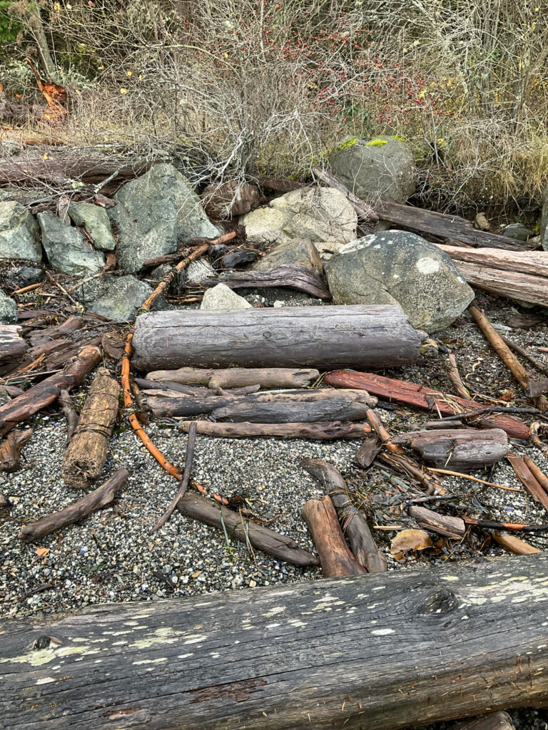 a pile of cut logs (MyCoast AI)