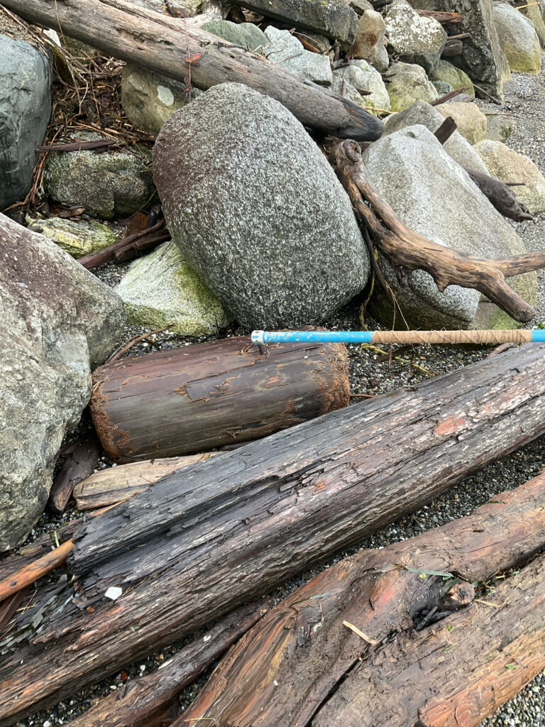 a pile of cut logs (MyCoast AI)
