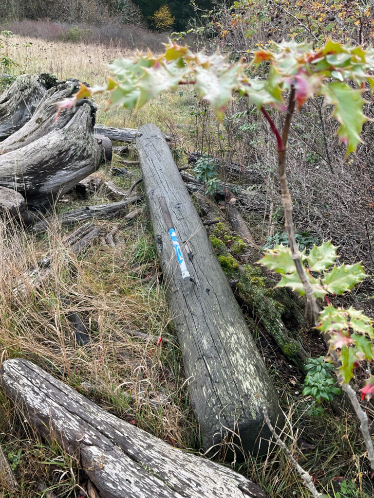 a wooden fence in a field (MyCoast AI)