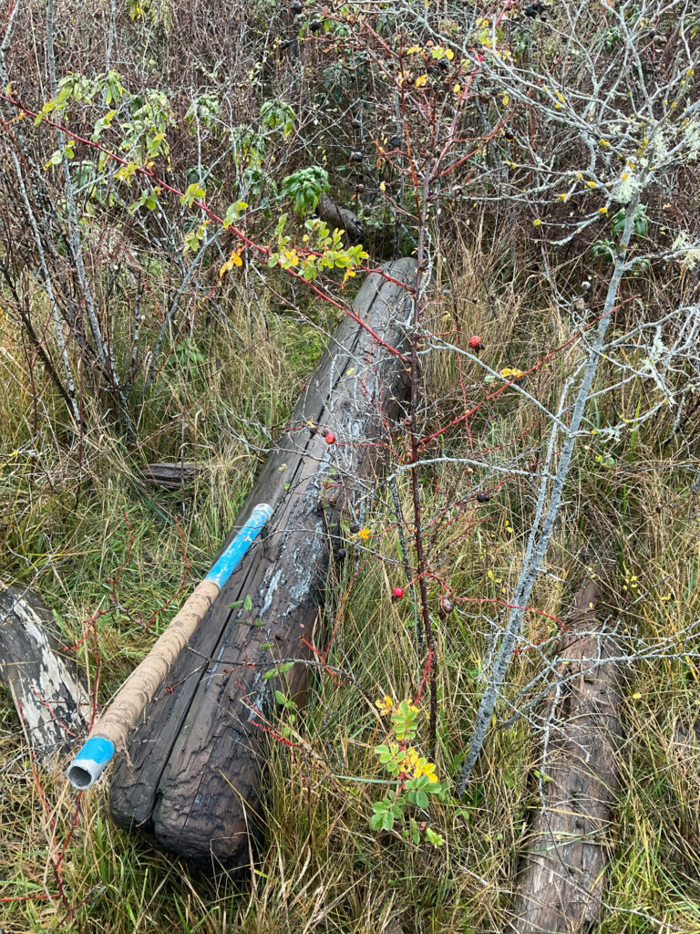 a pipe in the ground (MyCoast AI)