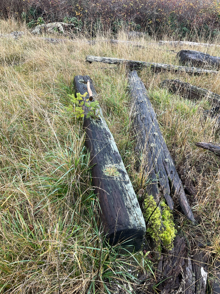 a fence in a field (MyCoast AI)