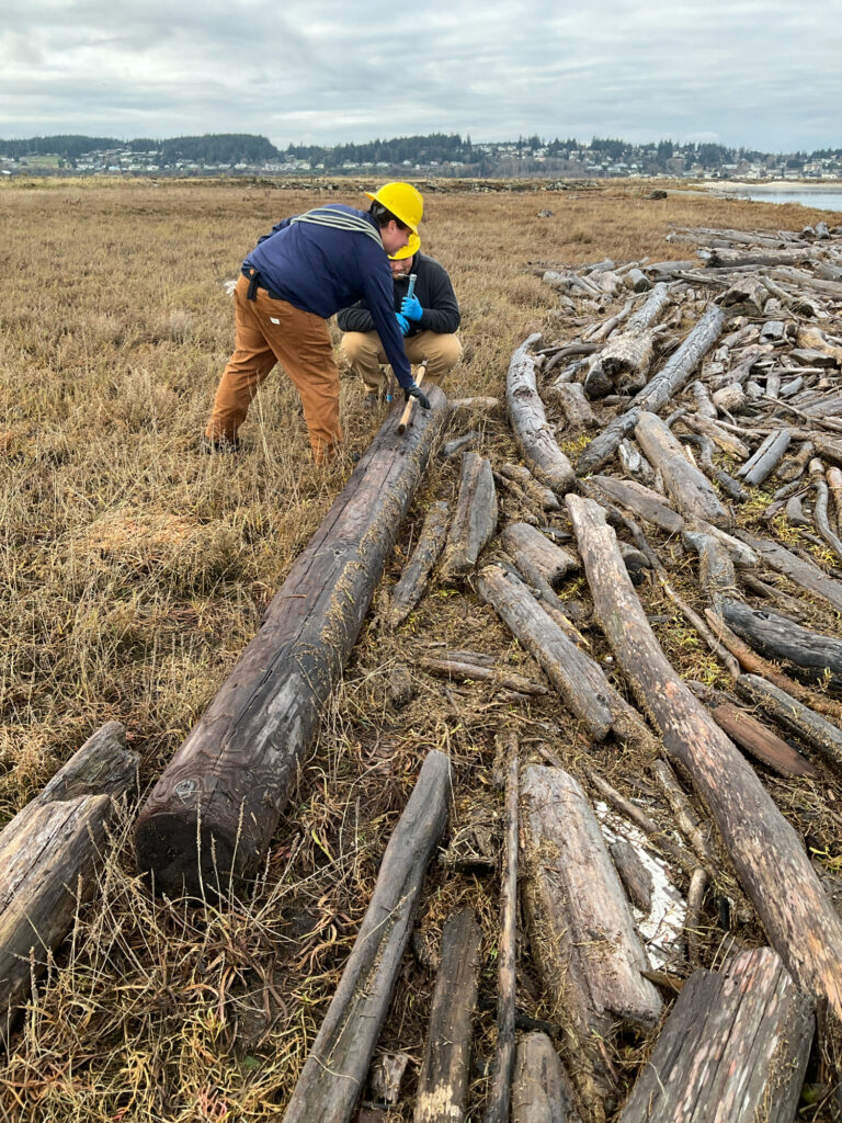 a person cutting wood (MyCoast AI)