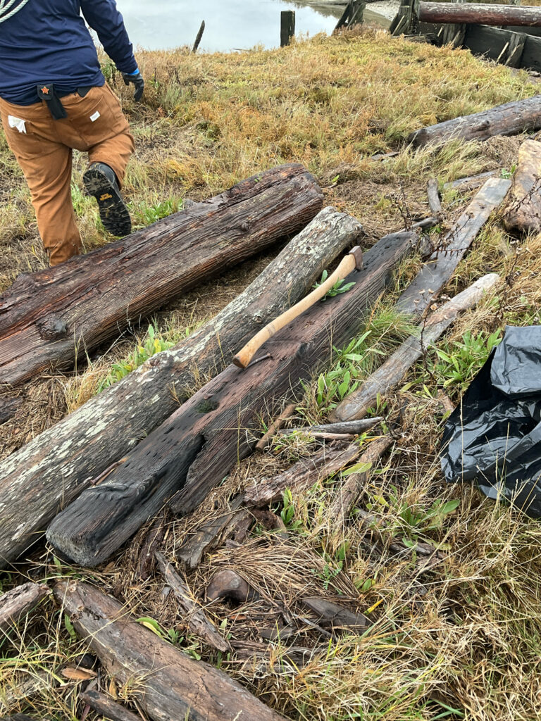 a person walking on a path with a pile of logs (MyCoast AI)
