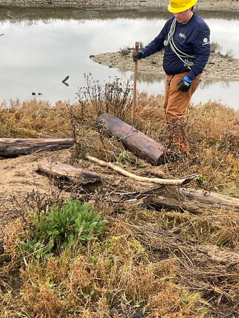 a man with a shovel and a stick in a field of grass (MyCoast AI)