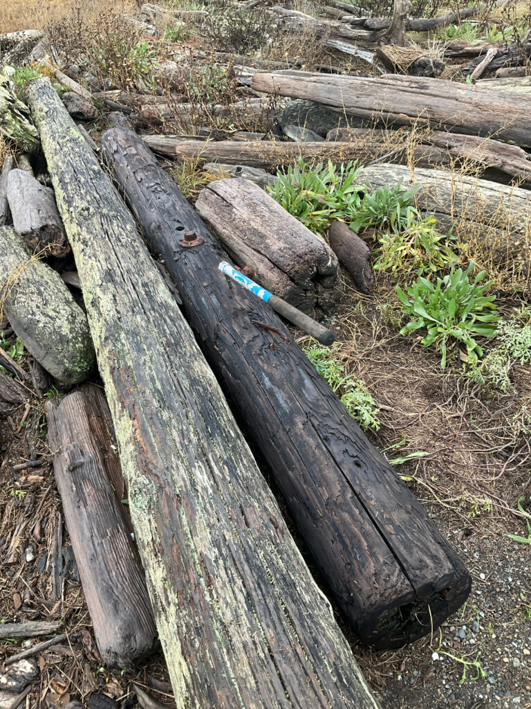 a wooden bench with a blue pen (MyCoast AI)