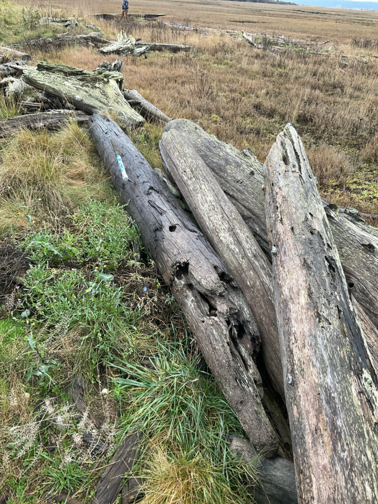 a wooden fence in a field (MyCoast AI)