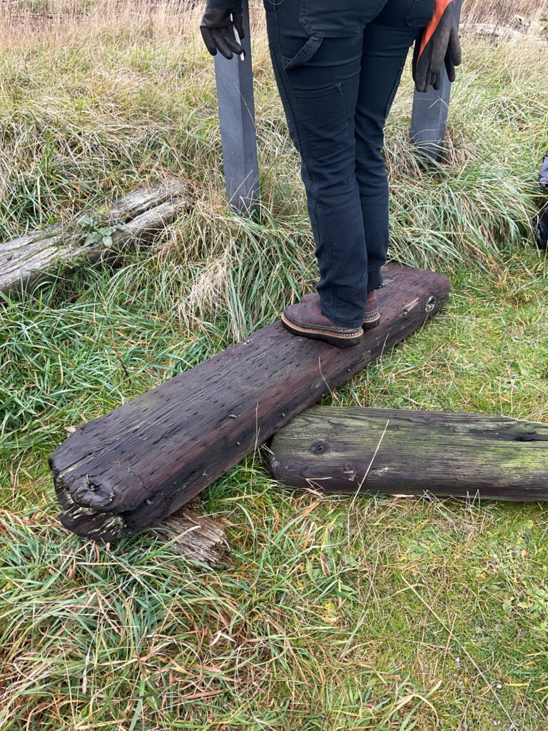 a person standing on a log (MyCoast AI)