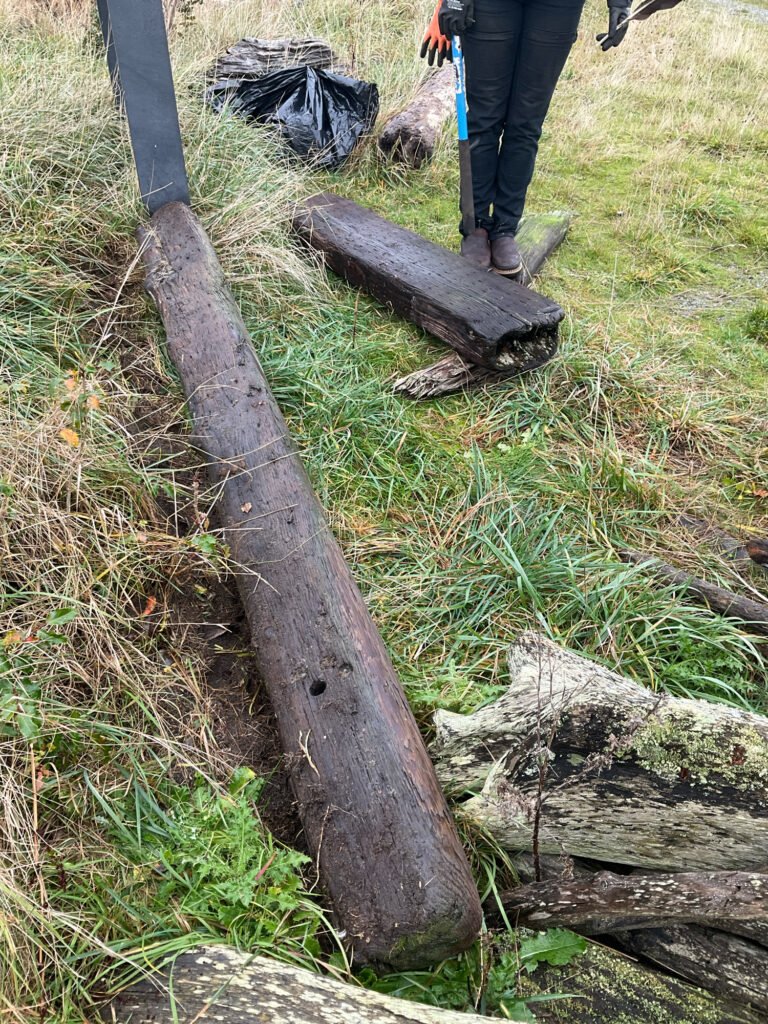 a person standing next to a tree stump (MyCoast AI)