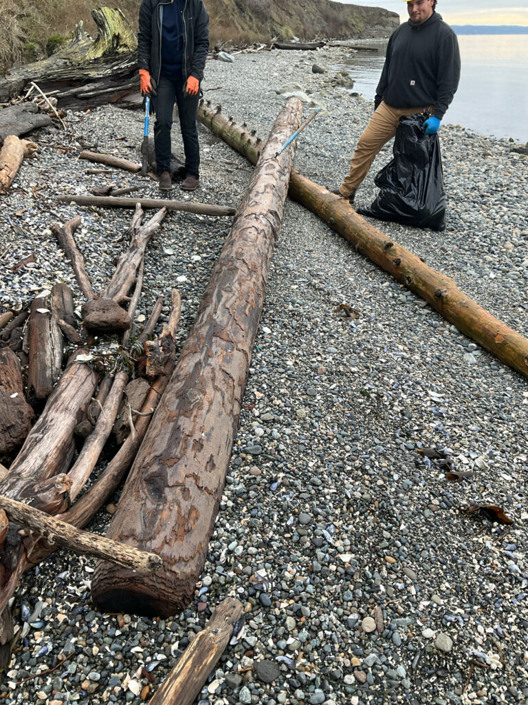 a couple of people standing next to a pile of wood on a beach (MyCoast AI)