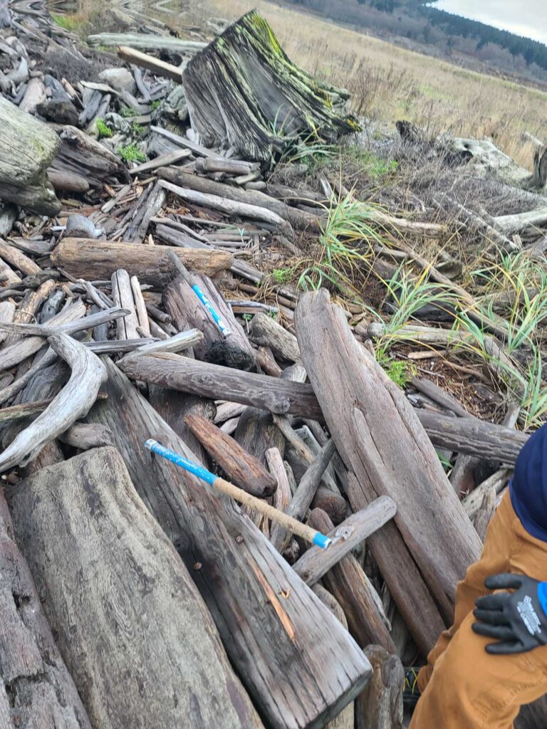 a pile of wood and sticks (MyCoast AI)
