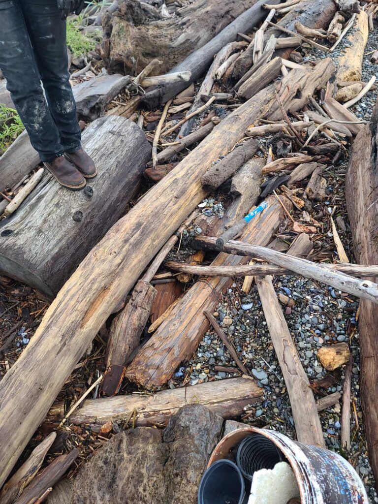 a pile of wood (MyCoast AI)