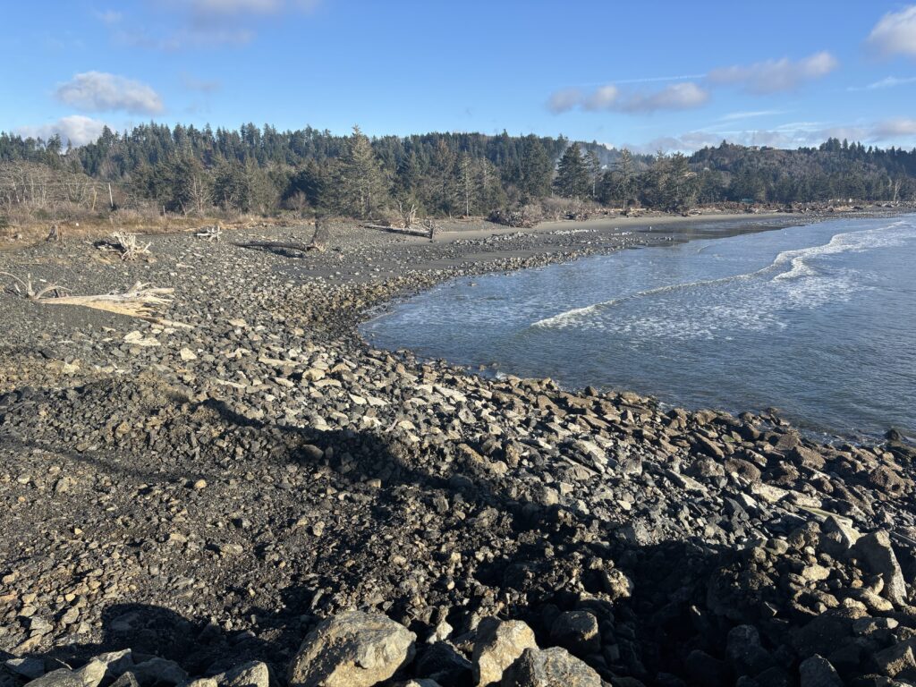 a rocky beach with trees in the background (MyCoast AI)