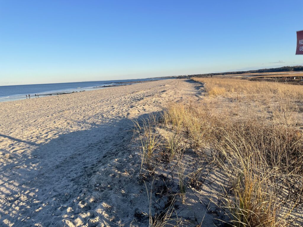 a sandy beach with grass and water (MyCoast AI)