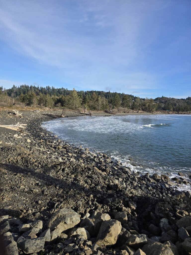 a rocky beach with trees in the background (MyCoast AI)