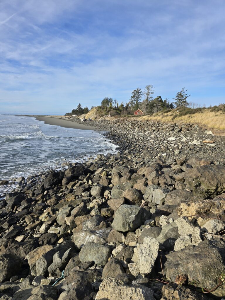a rocky beach with trees and water (MyCoast AI)