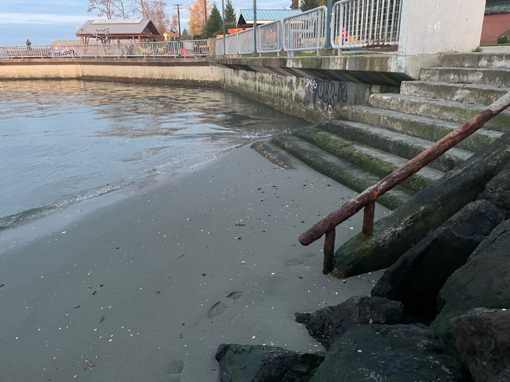 a pipe in the water (MyCoast AI)