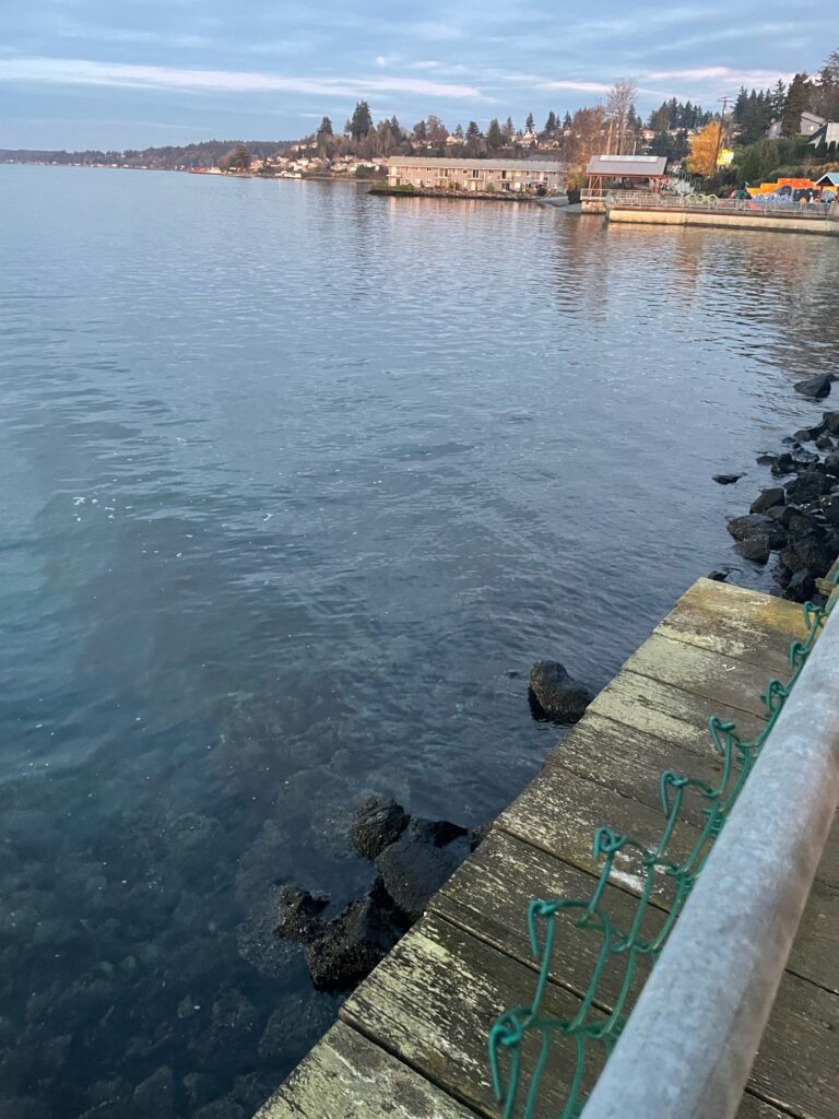 a body of water with a dock and a building in the background (MyCoast AI)