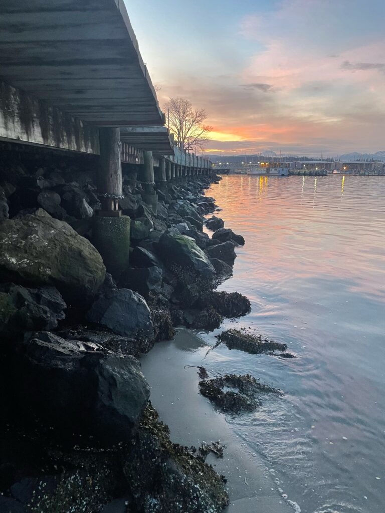 a bridge over a body of water (MyCoast AI)