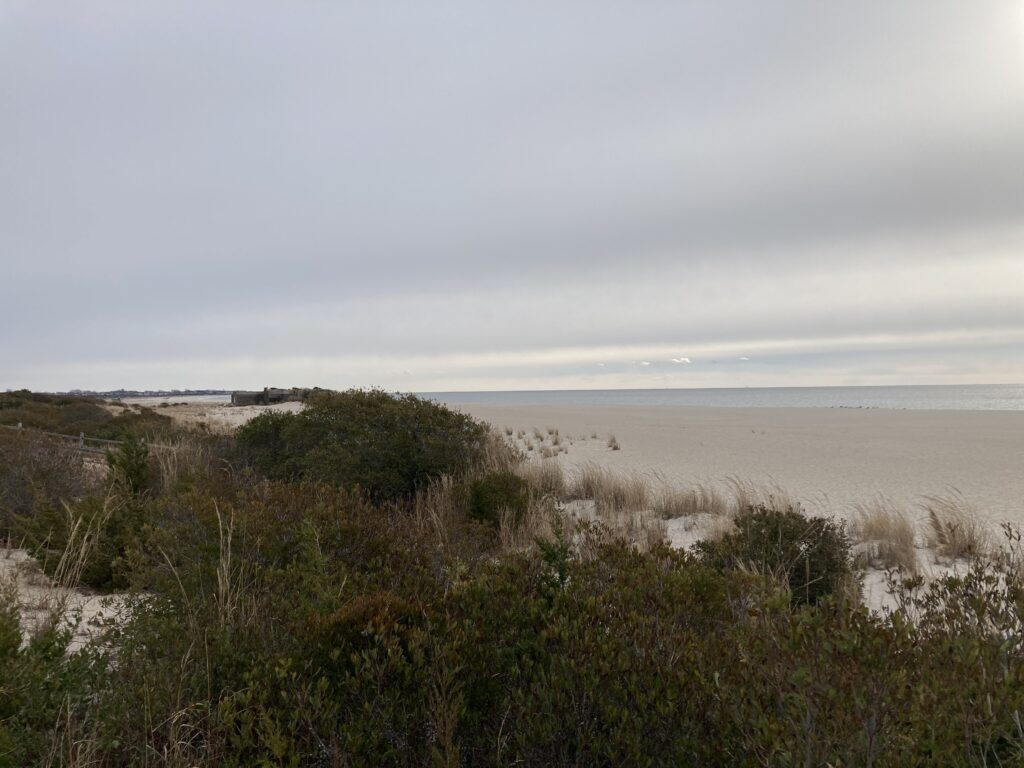 a landscape with bushes and trees (MyCoast AI)