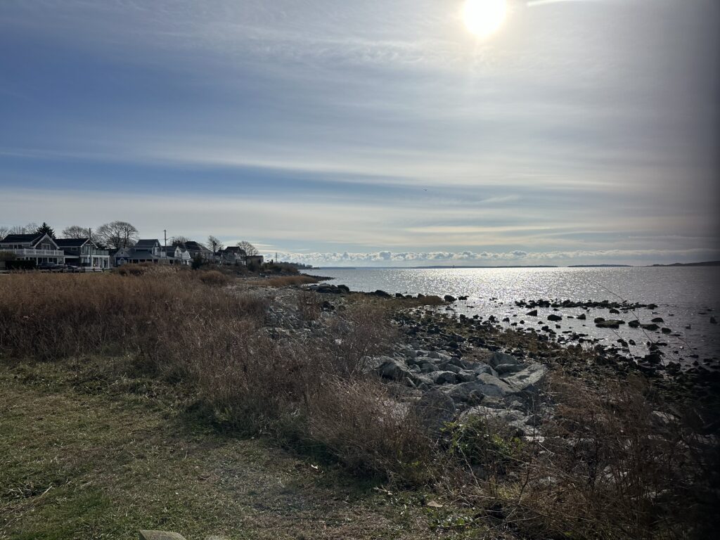a beach with houses and water (MyCoast AI)