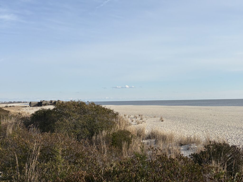 a field with bushes and a body of water in the background (MyCoast AI)