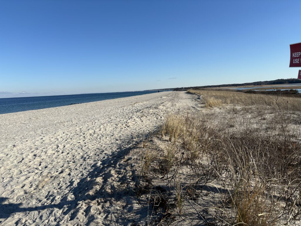 a sandy beach with bushes and a sign (MyCoast AI)