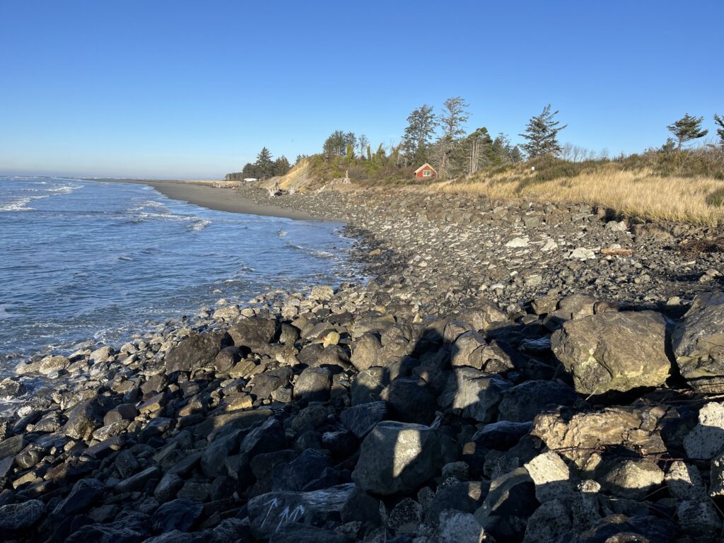 a rocky beach with a body of water and trees in the background (MyCoast AI)