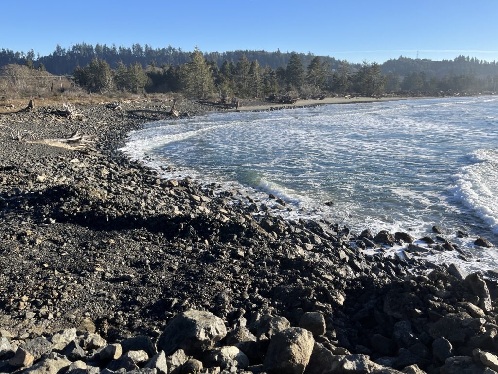 a rocky beach with trees in the background (MyCoast AI)