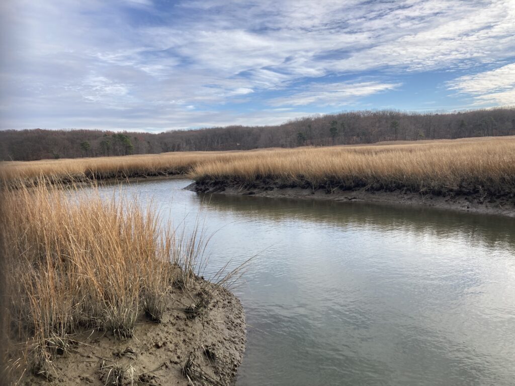 a body of water with grass and trees around it (MyCoast AI)