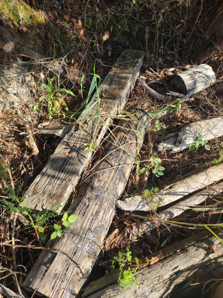 a group of logs (MyCoast AI)