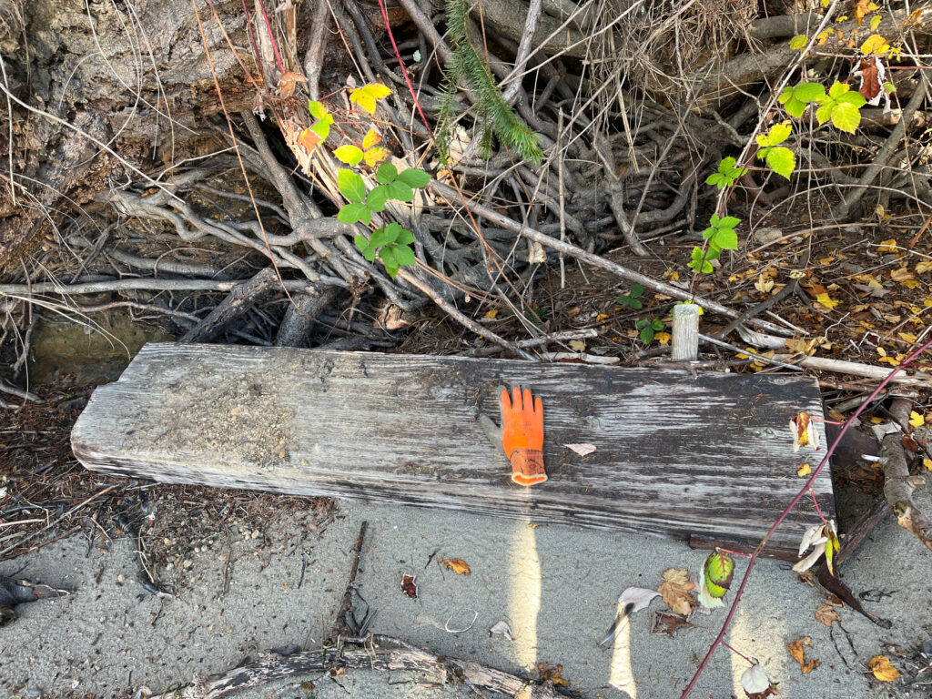 a small orange bottle on a wooden bench (MyCoast AI)