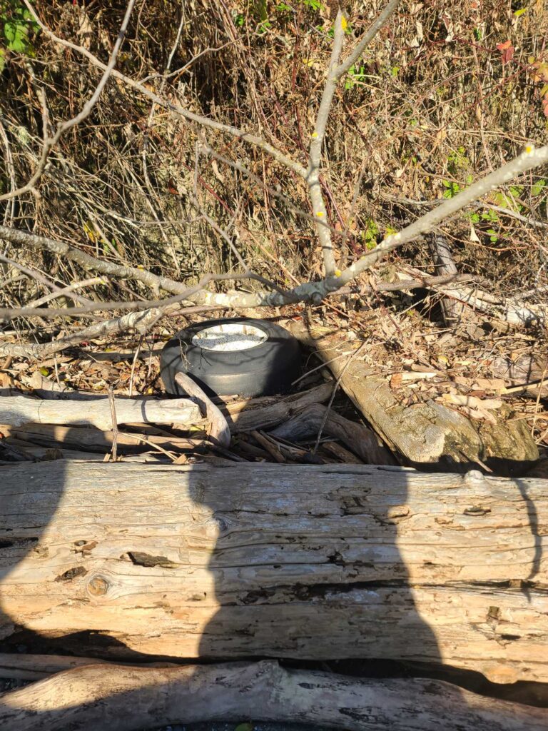 a broken tire on a wooden surface (MyCoast AI)