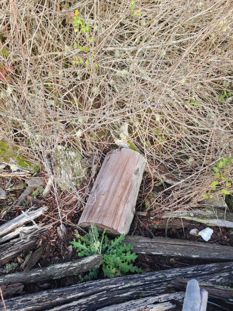 a wooden bench in a field (MyCoast AI)