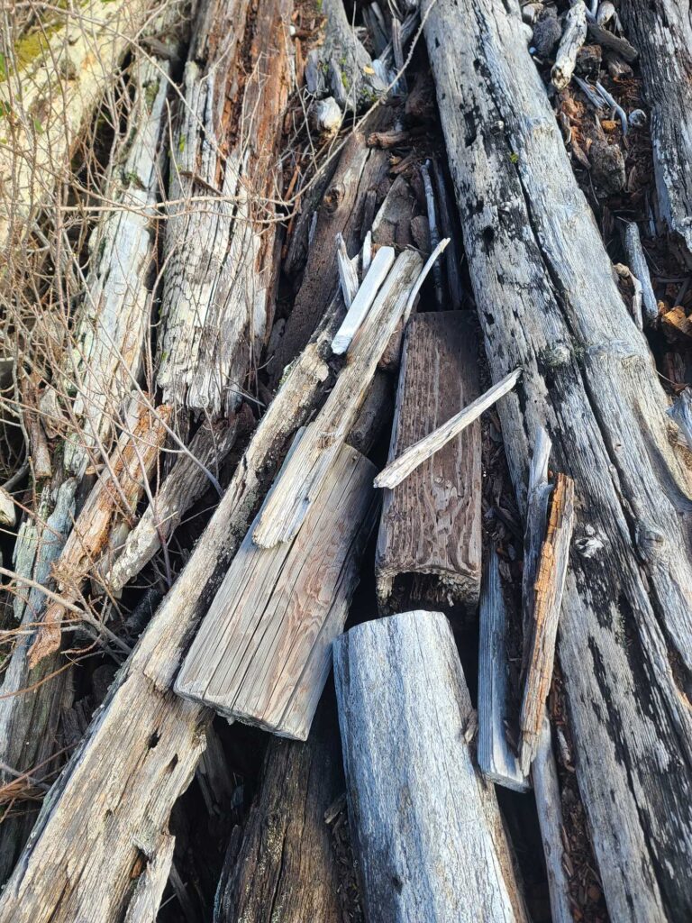a group of wood pieces (MyCoast AI)