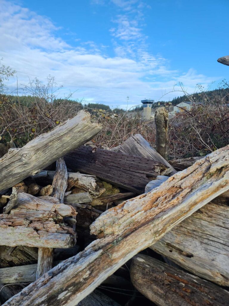 a group of logs in a field (MyCoast AI)